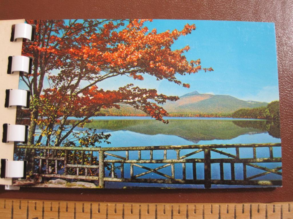 Five small souvenir photo booklets: Lake George, New York City, Niagara Falls, the White Mountains