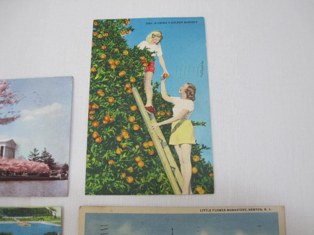 Nine Vintage Landscape themed U.S Post cards from Red Bank NJ, St.Petersburg Florida, Copake NY,