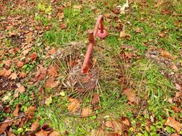 Sunflower hay rake