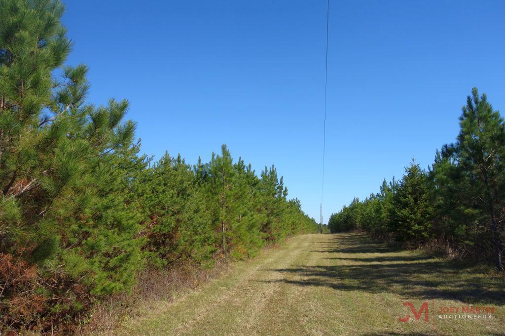 LAZY N FARMS HUNTING PRESERVE 79 ACRES W/HOUSE AND LAKE