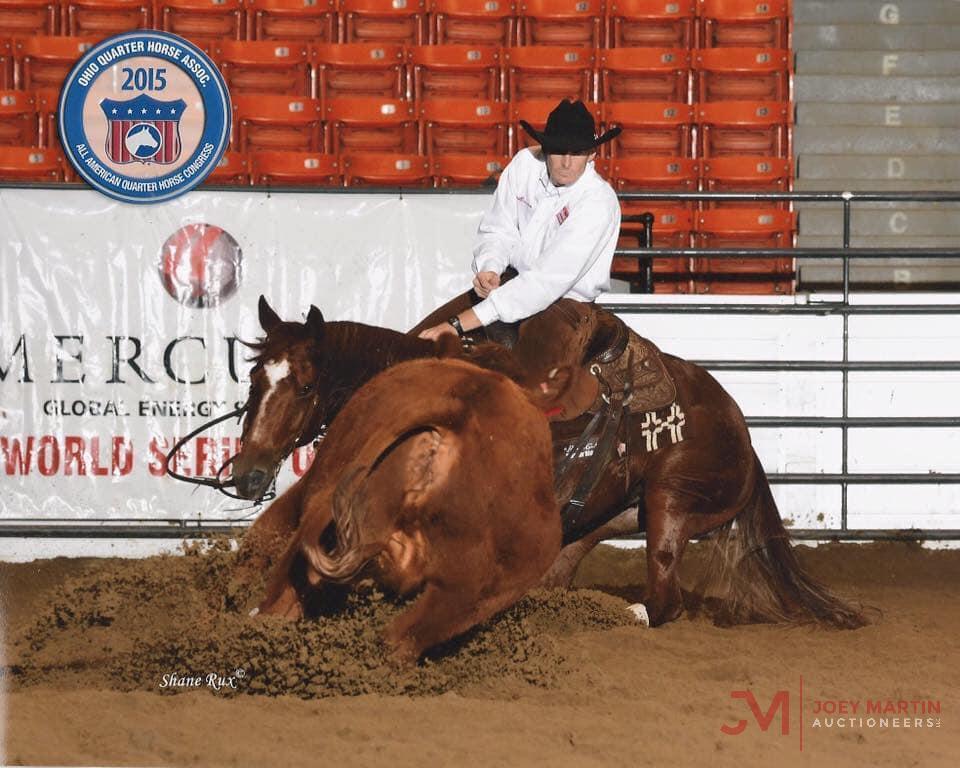 Smart Alice Cat 2006 Sorrel AQHA Mare (High Brow Cat X Smart Alice Boon) NCHA Money Earner - In Foal