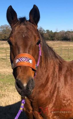 SDP Telesis Wood 2008 Bay AQHA Mare (Lenas Telesis X Zacks Four Wood) NCHA Money Earner