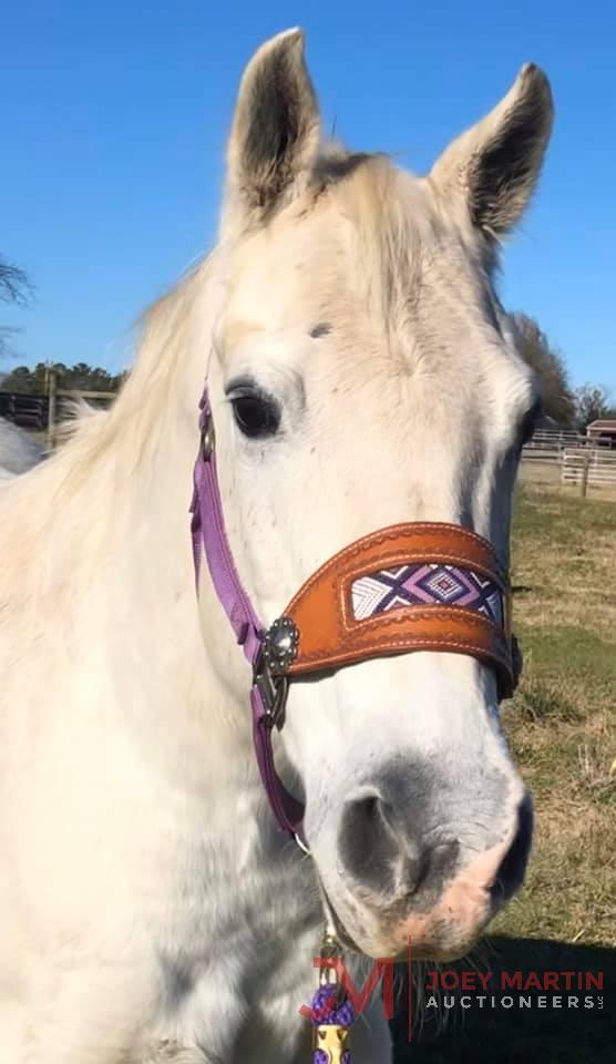 GSW Poco Peppy 2001 Grey AQHA Mare (Holey San Prom X Lenas Ute Banker)