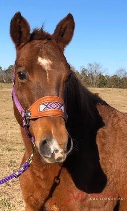 Miss Bravolena Smoke 1999 Chestnut AQHA Mare (Bravolena X Ms Gunsmoke Mccue)