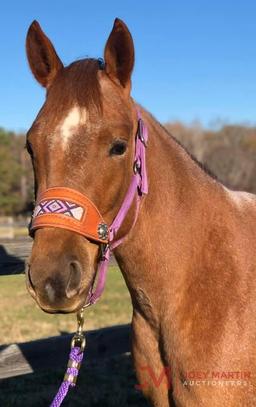 TS Sweet Lil Jules 2017 Red Roan AQHA Mare (Sweet Lil Pepto X Meradas Kiwi)