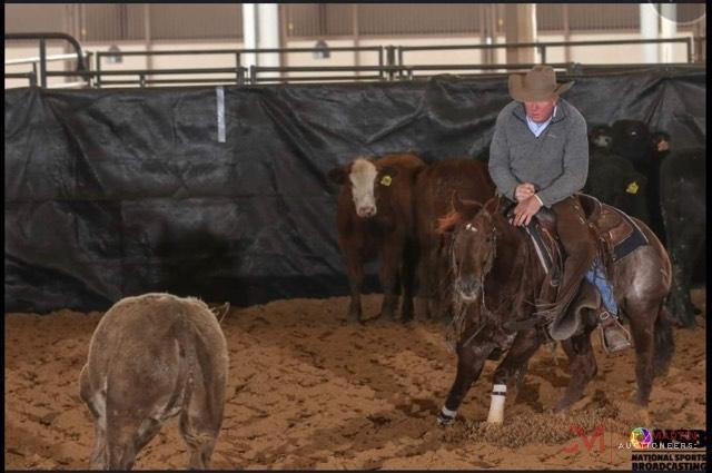 Hip Hop Cat 2012 Sorrel AQHA Gelding (High Brow Cat X Hip Hop CD) NCHA Money Earner