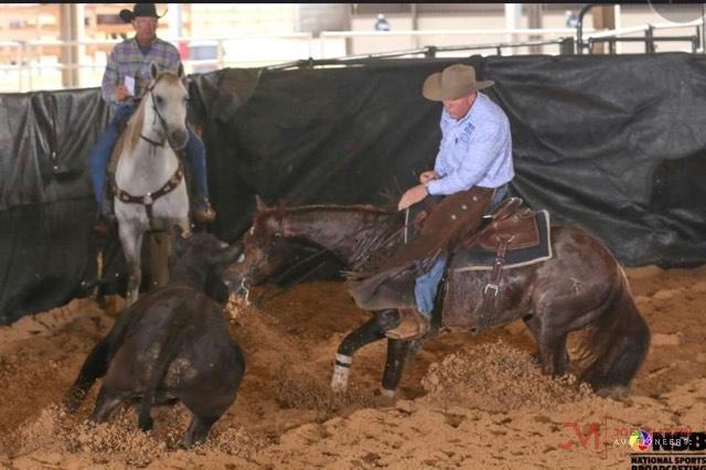 Hip Hop Cat 2012 Sorrel AQHA Gelding (High Brow Cat X Hip Hop CD) NCHA Money Earner