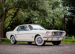 Ford Mustang Notchback