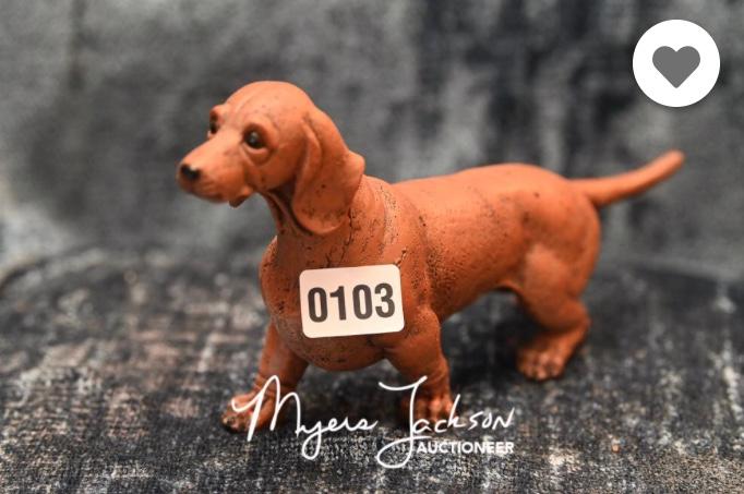 Dachshund