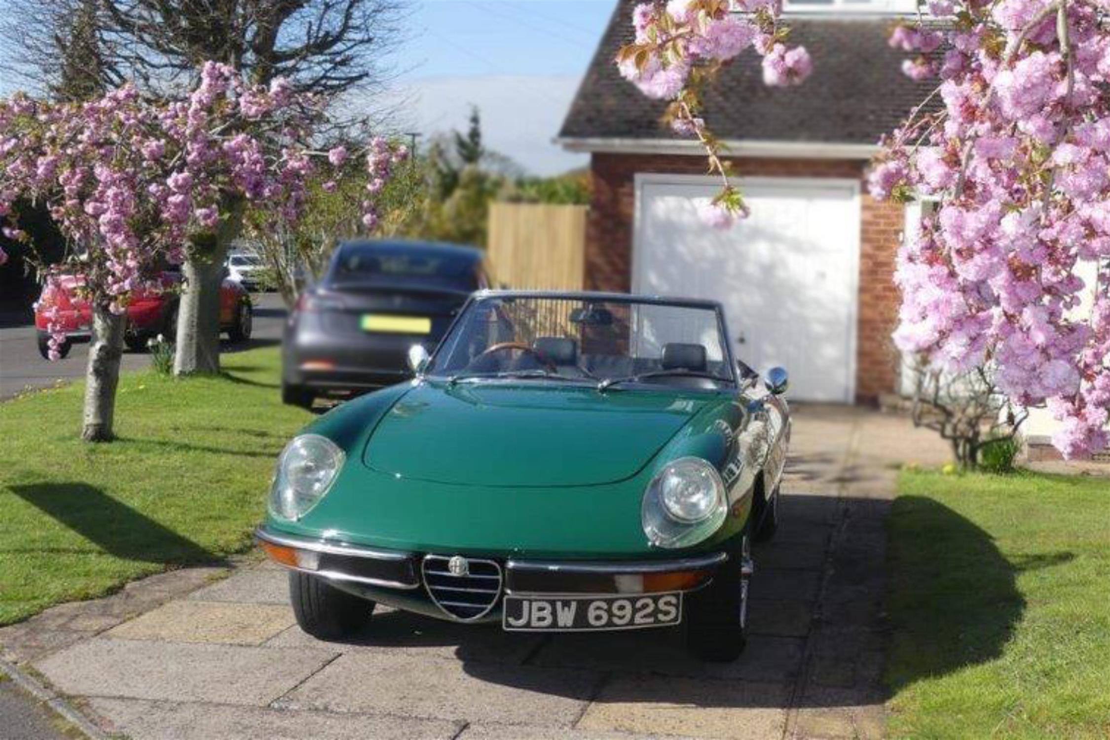 1978 Alfa Romeo 2000 Spider Veloce