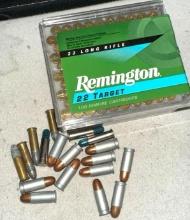 22 Long Rifle Ammo- 118 rounds