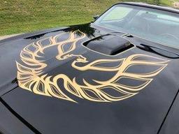 1976 Pro Touring Trans Am