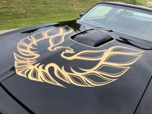 1976 Pro Touring Trans Am