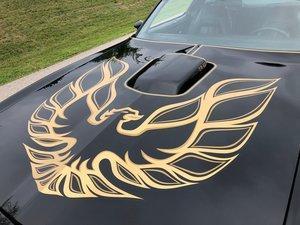 1976 Pro Touring Trans Am