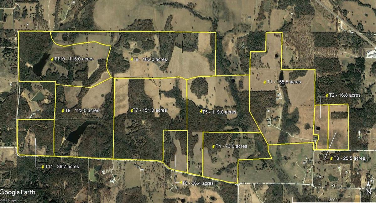 Tract 11: 36.7 Acres with nearly 2500' of road frontage on 2 sides