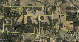Tract 5: 119 Acres with 50/50 mix of pasture and trees