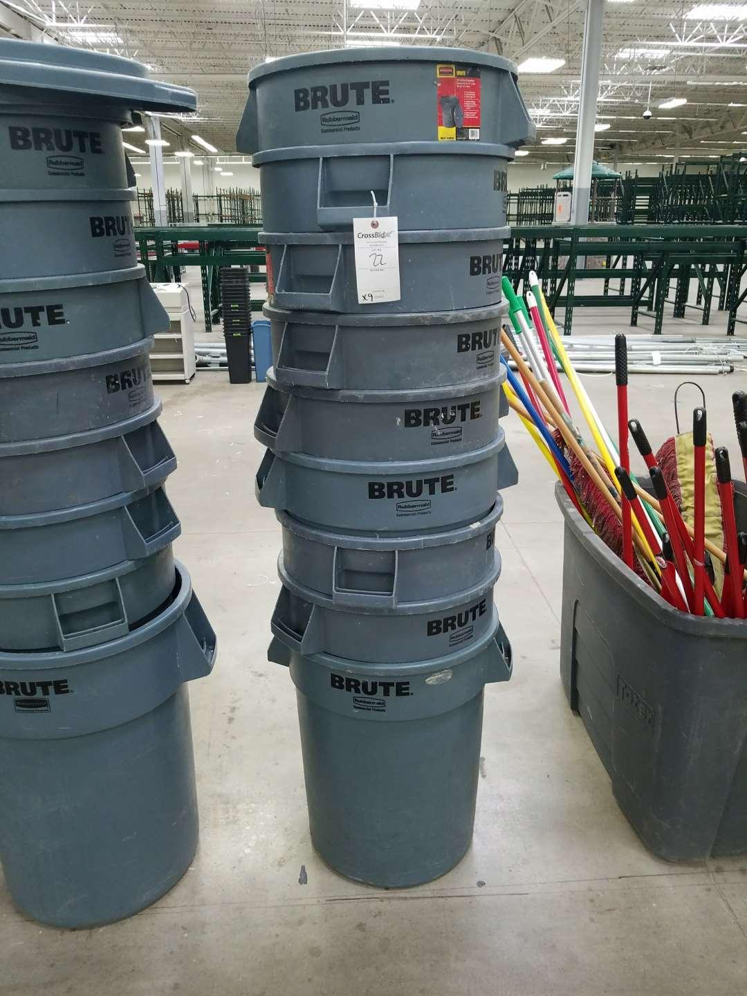 Rubbermaid Brute Plastic Trash Cans