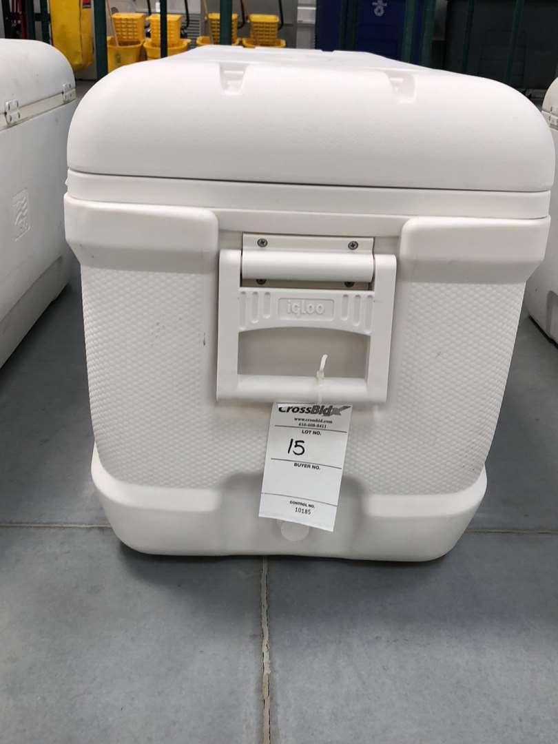 Igloo 150 Quart Cooler