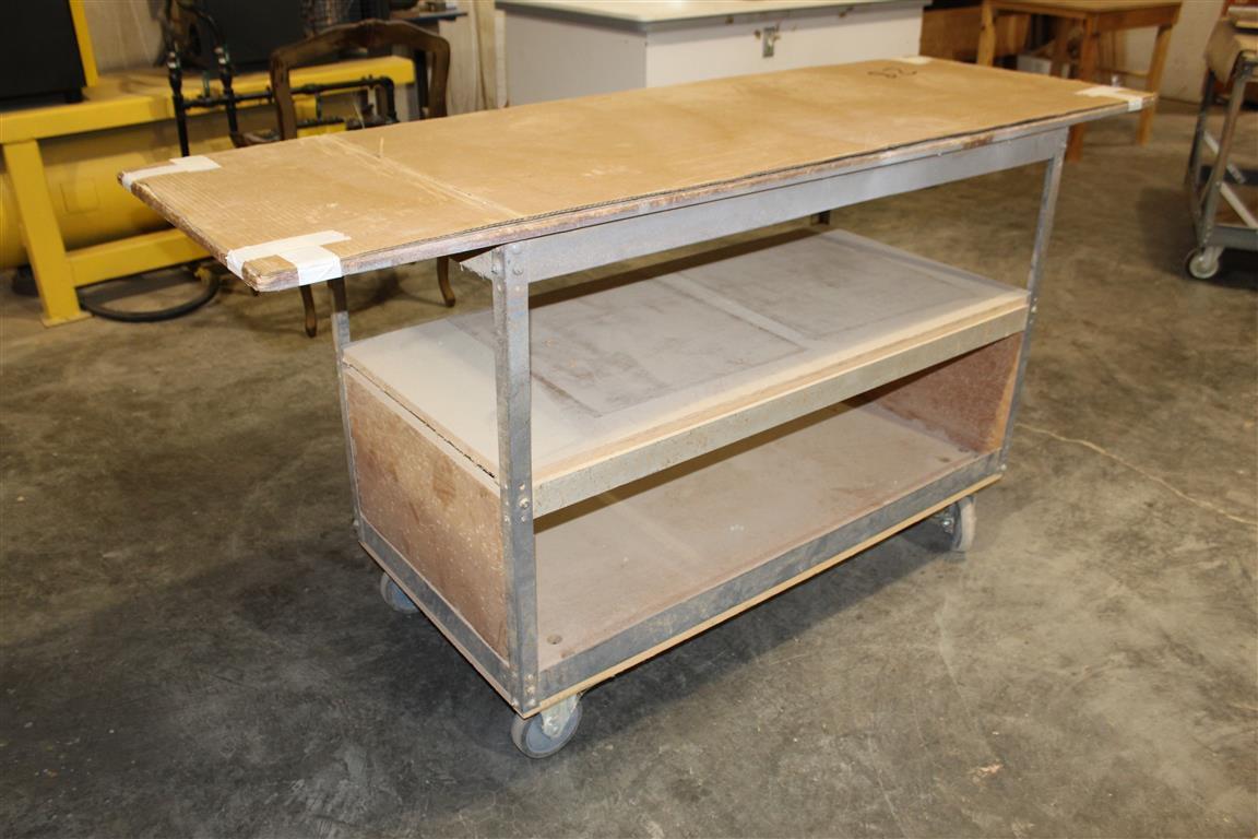 24 X72" ROLLING CABINET