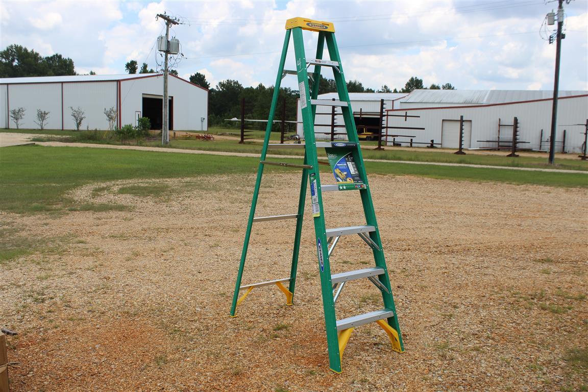 8' Werner Fiberglass Step Ladder