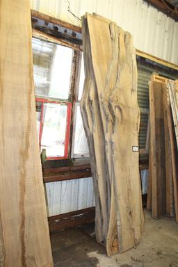 Lot of 6 locally salvaged Live Edge Sinker Cypress "skins" ; approximately 1" x 12-22" wide x 10'