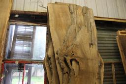 Lot of 6 locally salvaged Live Edge Sinker Cypress "skins" ; approximately 1" x 12-22" wide x 10'