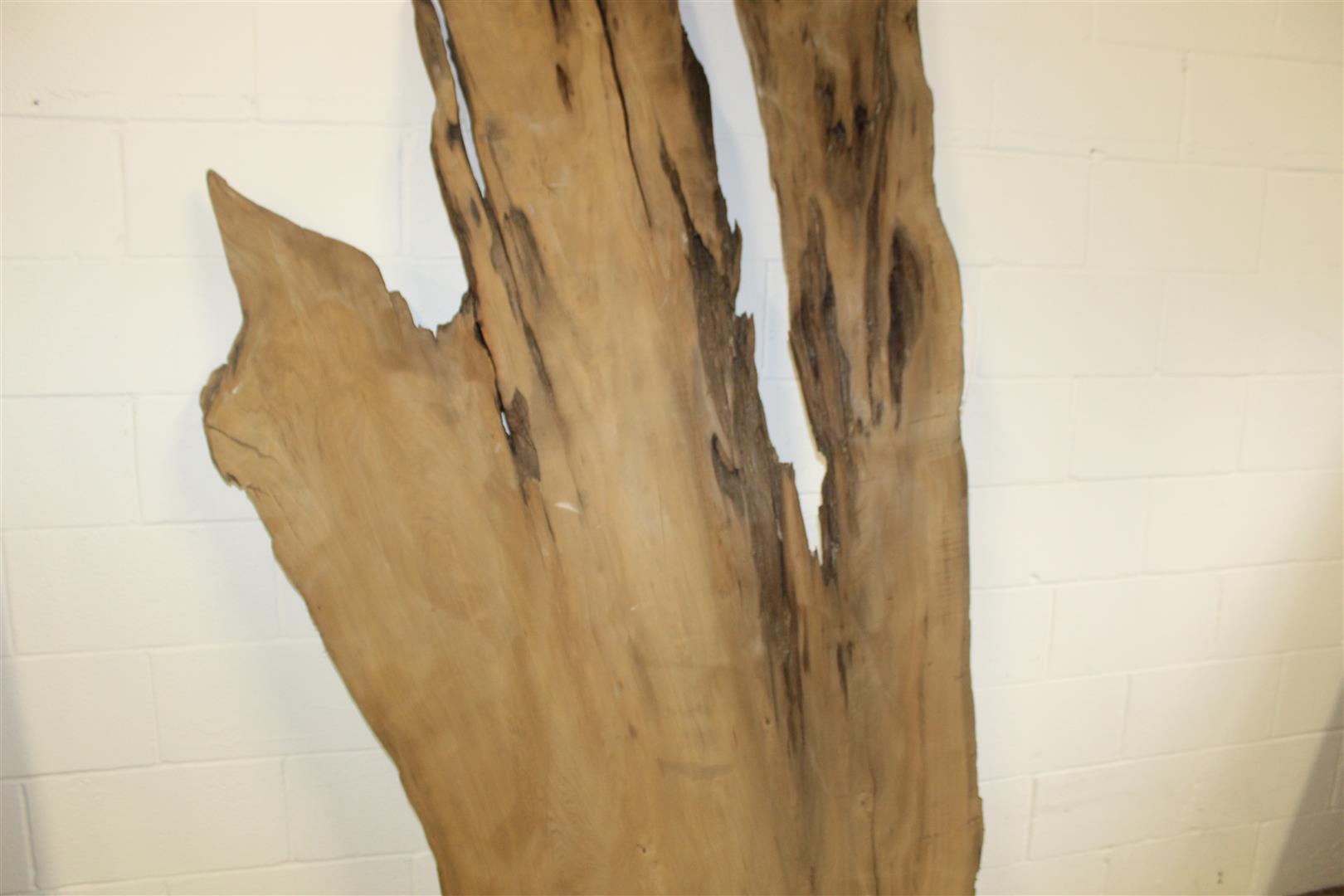One Locally salvaged Live Edge Asymmetrical Sinker Cypress Slab;  approx. 2" thick x 4' wide x 80" t