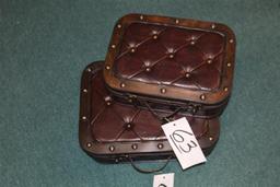 (2) Leather Cases