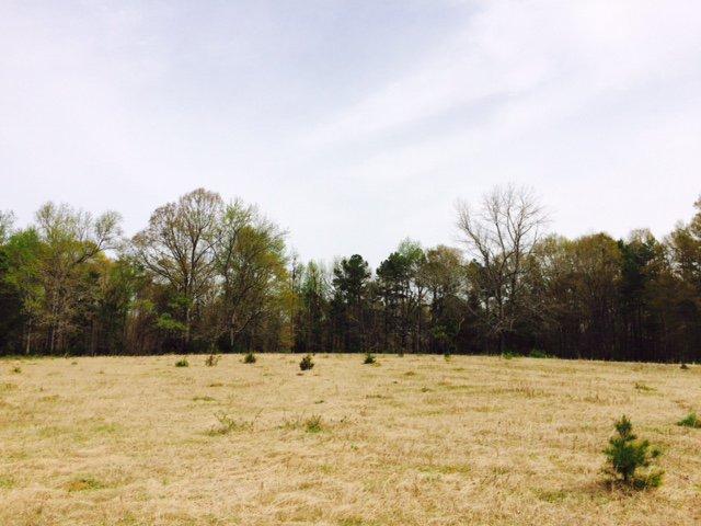 Acreage with Home on Easley Hwy in Pelzer SC