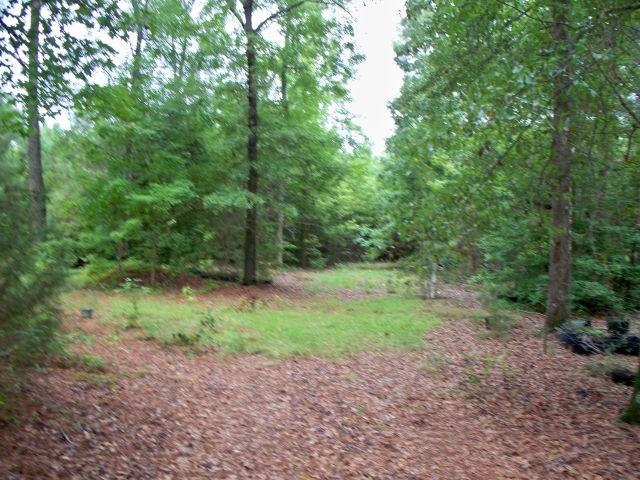 Land and Building in Darlington SC