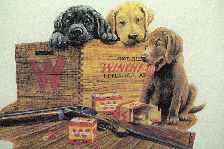 Winchester Lab Puppies Print By F.W. Thomas