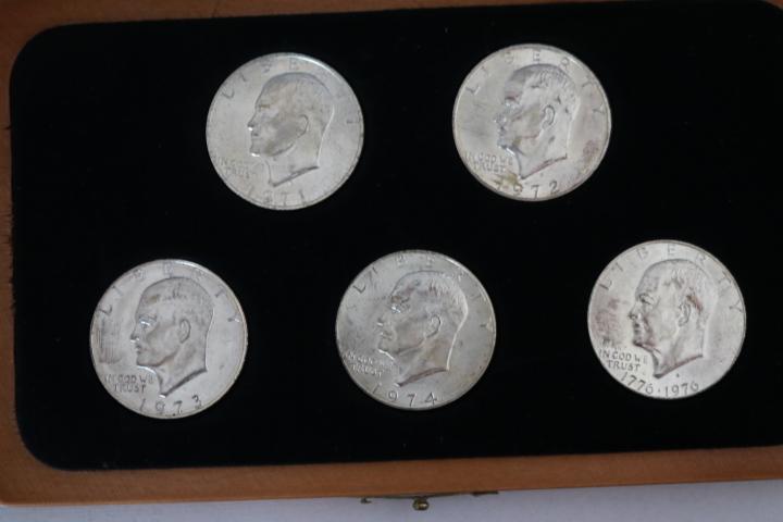 5 Ike Dollar Set