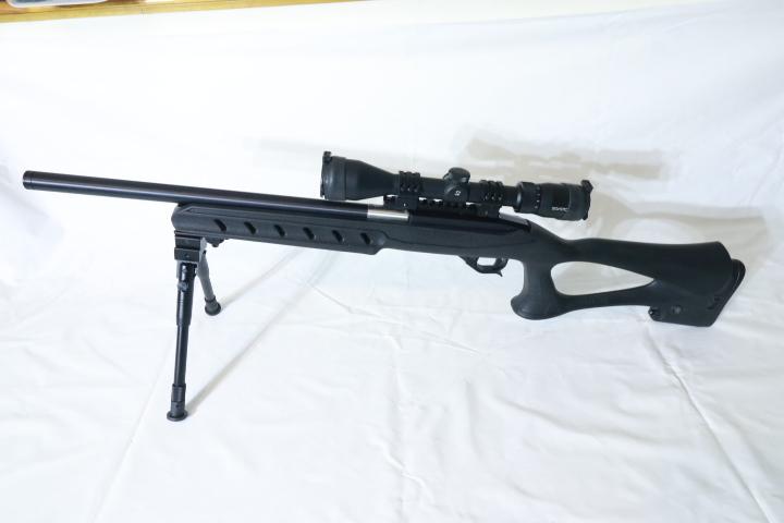 Kidd .22LR with Archangel Stock & Sightron Scope