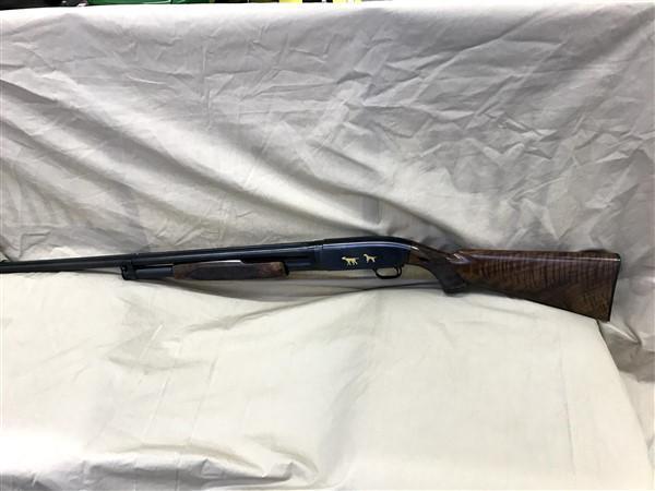 Win Mod 12 16 ga, SN#752889, 30" Solid Rib Full, Engrvd, gold inlay, Pigeon grd, Black Diamond stock