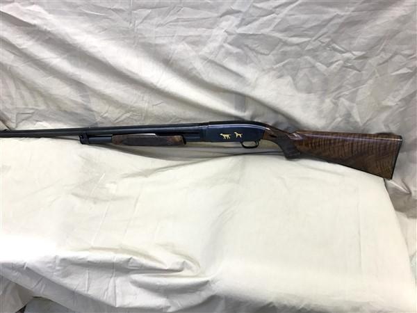 Win Mod 12 16 ga, SN#752889, 30" Solid Rib Full, Engrvd, gold inlay, Pigeon grd, Black Diamond stock