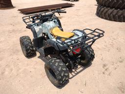 2015 Taotao Mini 4Wheeler