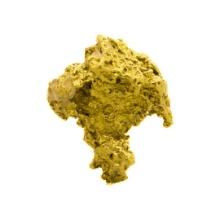 1.13 Gram Mexico Gold Nugget