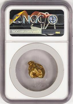10.31 Gram Yukon Gold Nugget NGC Graded