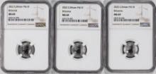 Lot of (3) 2022 Great Britain 10 Pounds Britannia 1/10oz Platinum Coins NGC MS69