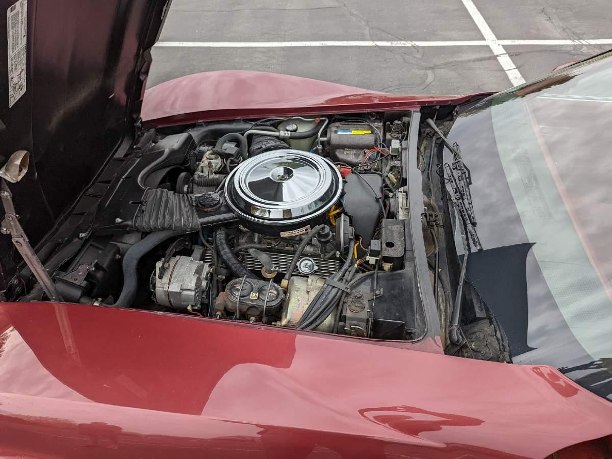 1981 Chevrolet Corvette T-Top Coupe