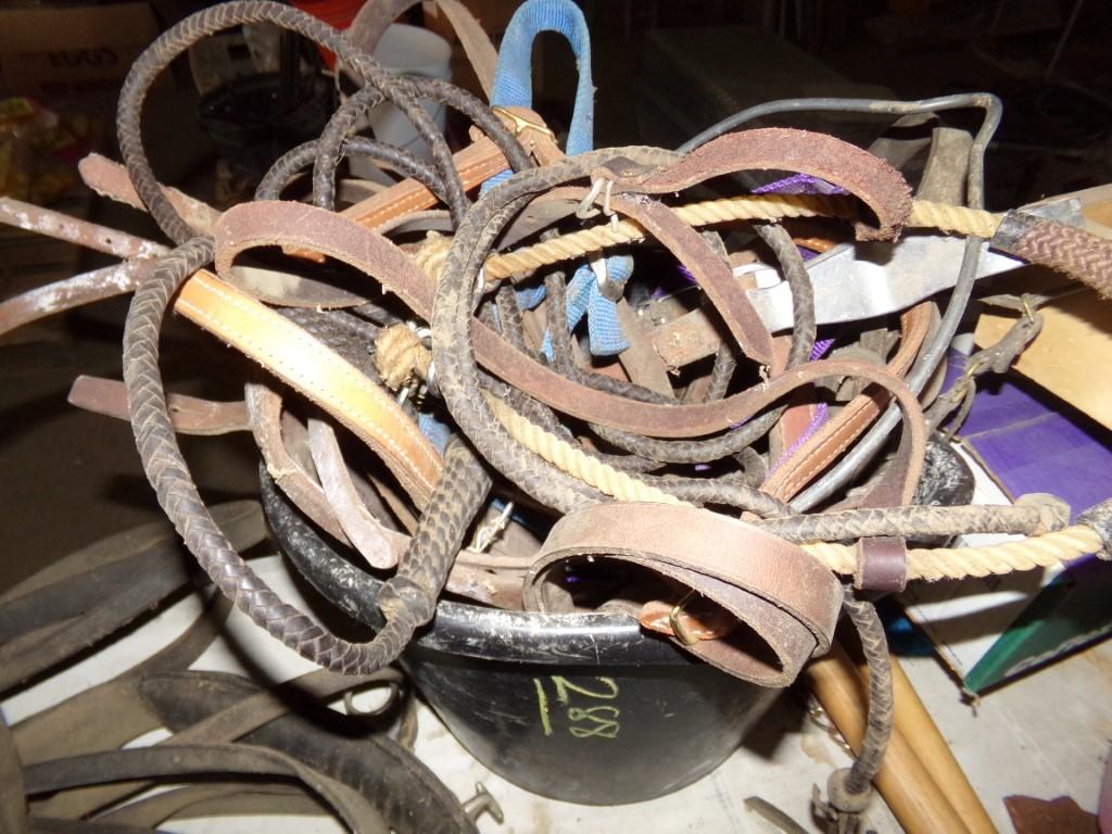 Black Feed Bucket with Rope, Leads, Whips and Misc. Leather Harness Parts (