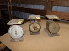 (3) Antique Scales, American Family Scale, (2) Columbia Family Scales, Roug