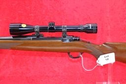 Ruger M77 243