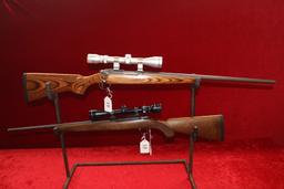 Ruger 22 Hornet Model All Weather 77/22