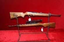 Ruger 17 HMR Model 96