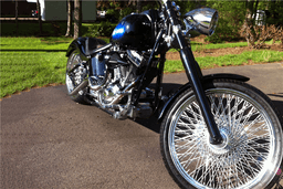 2005 HARLEY-DAVIDSON FXSTS CUSTOM MOTORCYCLE