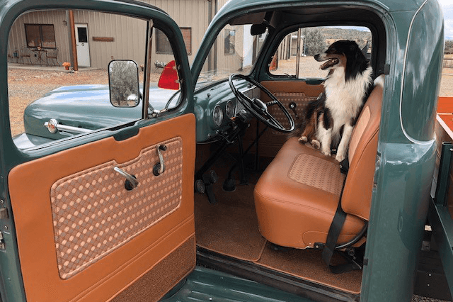 1952 FORD F-3 PICKUP