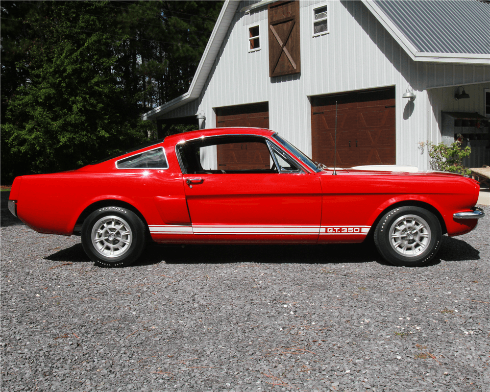 1966 SHELBY GT350