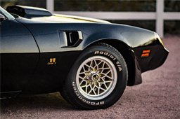 1979 PONTIAC MECHAM TRANS AM CUSTOM