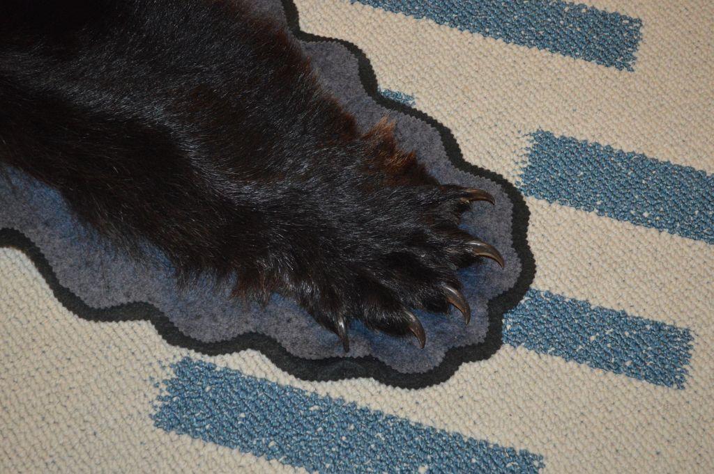 BEAR SKIN RUG, NOSE TO TAIL - 64"